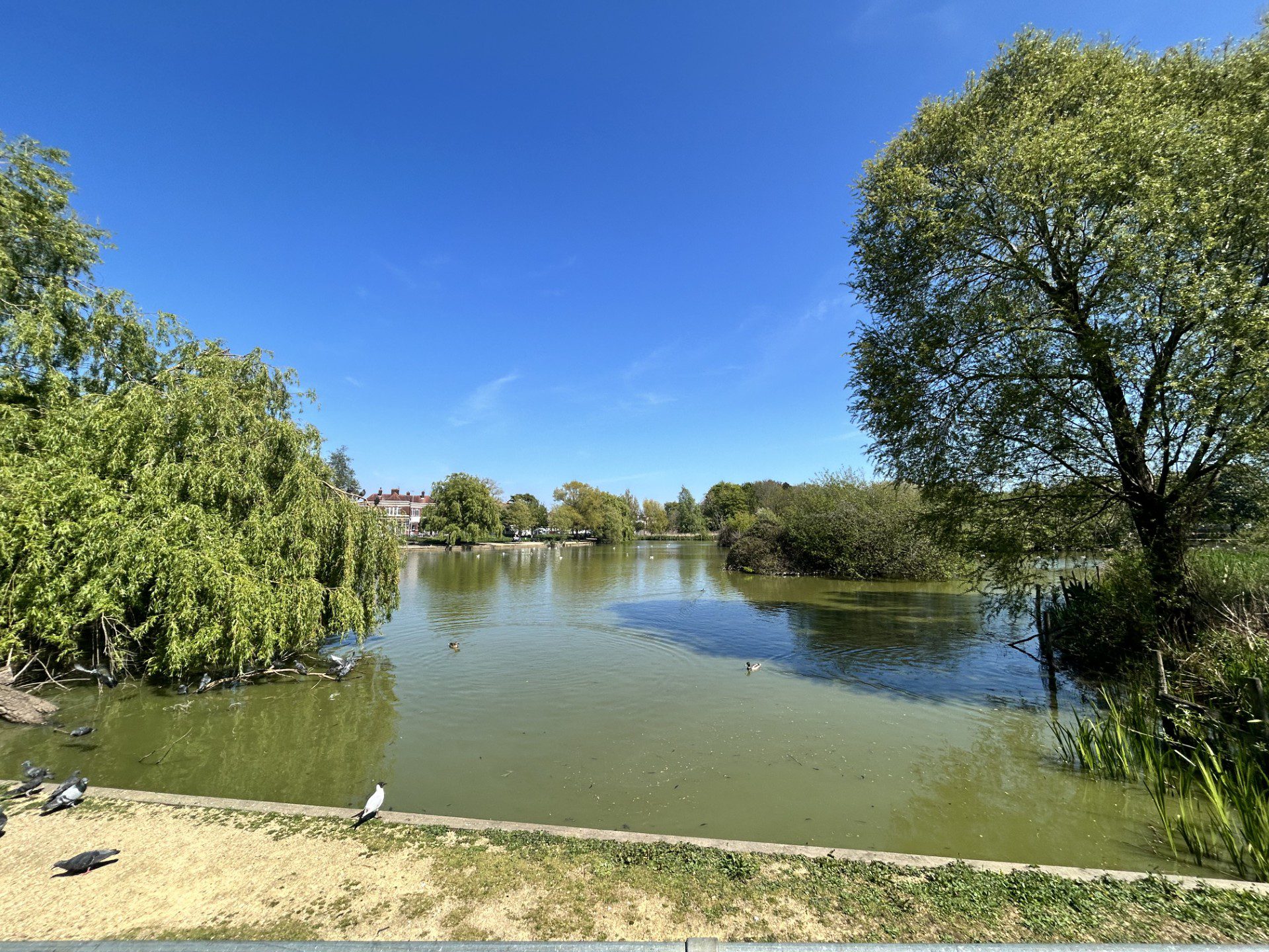 Property Image 29